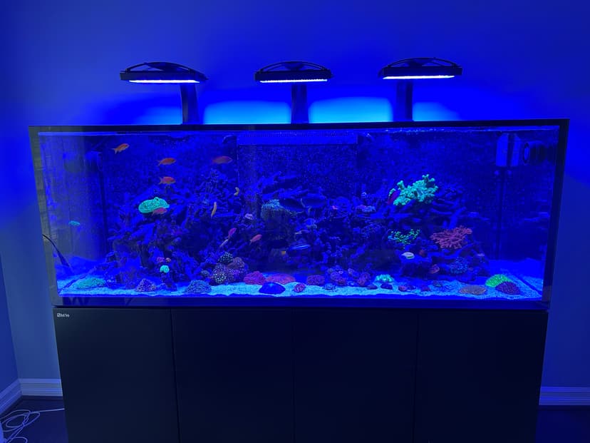 Fish tank 1