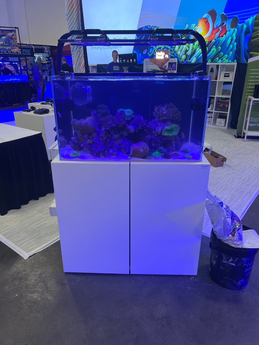 Fish tank 2