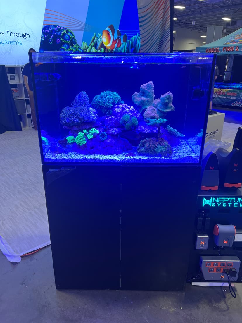 Fish tank 3