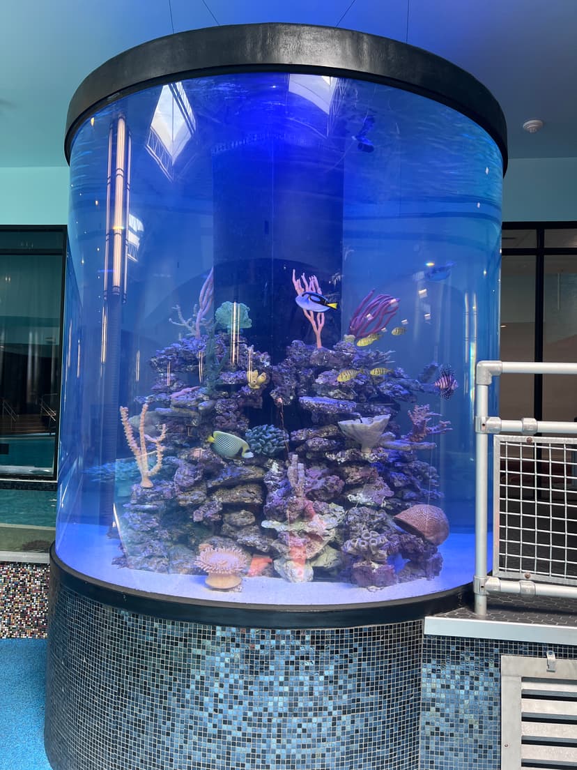 Fish tank 5
